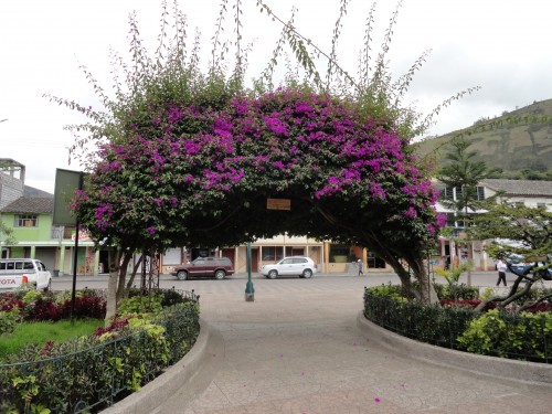 Foto de Patate (Tungurahua), Ecuador