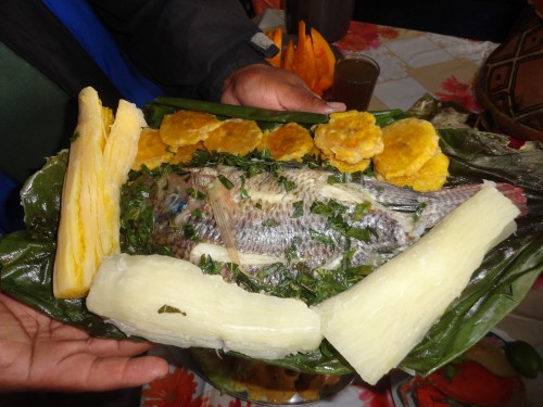 Foto: Maito de pollo - Simón Bolívar (Pastaza), Ecuador