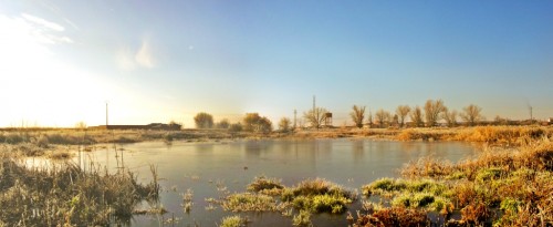 Foto: Panorámica de la laguna en invierno - Zuares Del Páramo (León), España
