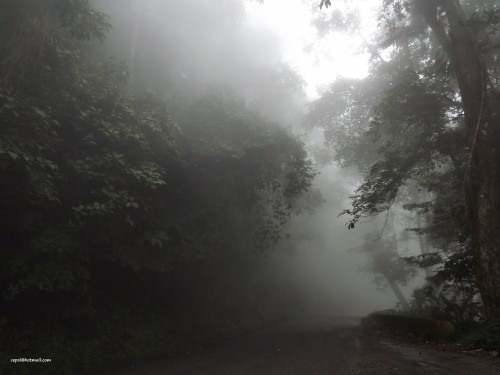 Foto: Neblina en la Carretera - Parque Nacional Henry Pittier (Aragua), Venezuela