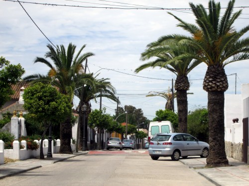 Foto: Calle Padrón - Los Badalejos (Cádiz), España