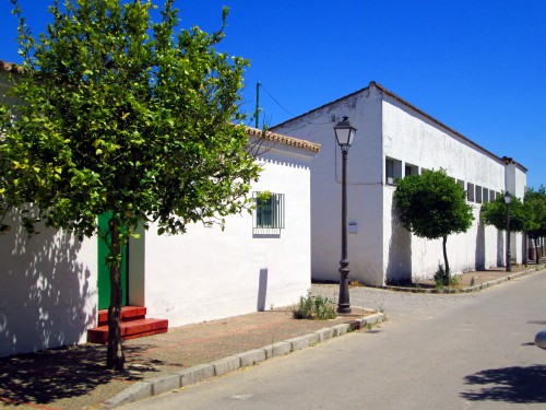 Foto: Cooperativa Agrícola San Isidro - San Isidro de Guadalete (Cádiz), España