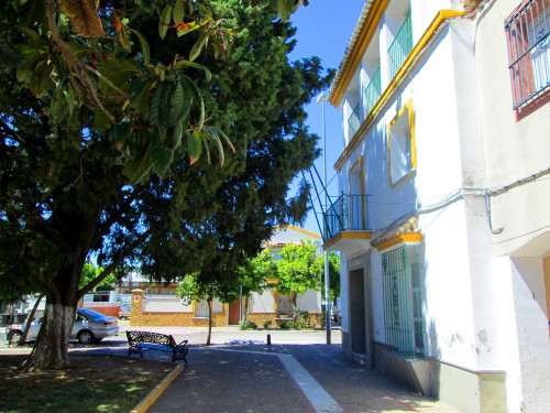 Foto: Ayuntamiento de San Isidro - San Isidro de Guadalete (Cádiz), España