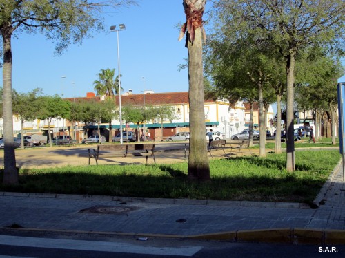 Foto: Plaza el Roble - Guadalcacín (Cádiz), España