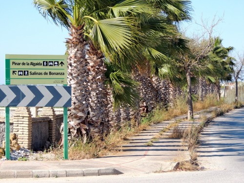 Foto: Paseo la Algaida - La Algaida (Cádiz), España