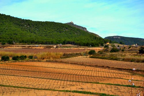 Foto de Castellví de la Marca (Barcelona), España