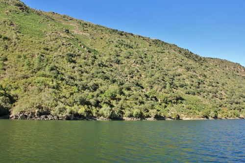 Foto: Cañón del rio Sil - Doade (Lugo), España