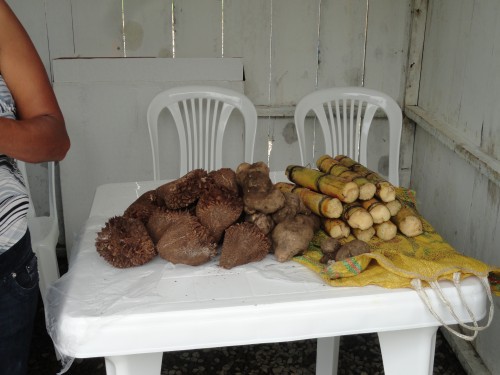 Foto: Productos - Simòn Bolìvar (Mushullacta) (Pastaza), Ecuador