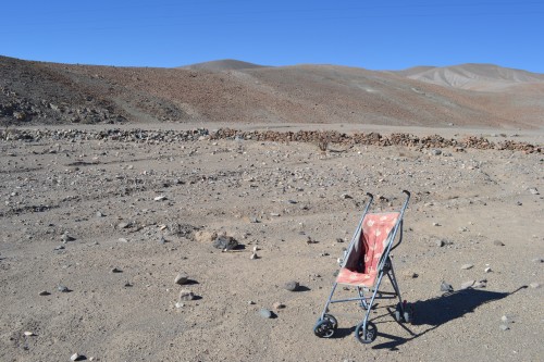 Foto: COCHE - Inca De Oro-chañaral (Atacama), Chile