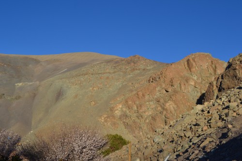 Foto: PAISAJE - Inca De Oro-chañaral (Atacama), Chile