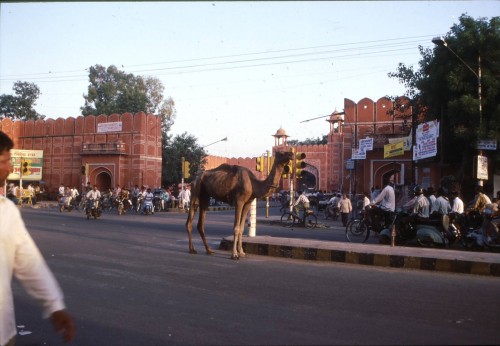 Foto de Jaipur (Rajasthan), India