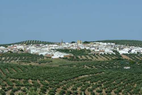 Foto: Lopera, Jaén (Panorámica) - Lopera (Jaén), España