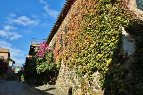 Foto: Centro histórico - Colliure (Languedoc-Roussillon), Francia