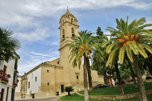 Foto: Parroquia de la Asunción - Cabra (Córdoba), España