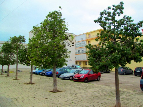 Foto: Plaza Sor Adoración - Cádiz (Andalucía), España