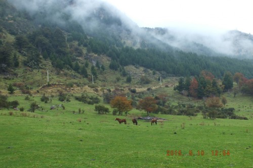 Foto: Coyhaique - Coyhaique (Aisén del General Carlos Ibáñez del Campo), Chile