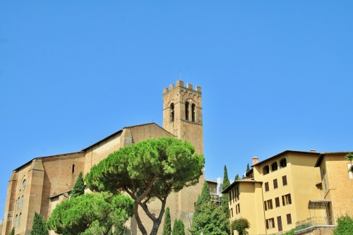 Foto: Basílica San Domenico - Siena (Tuscany), Italia