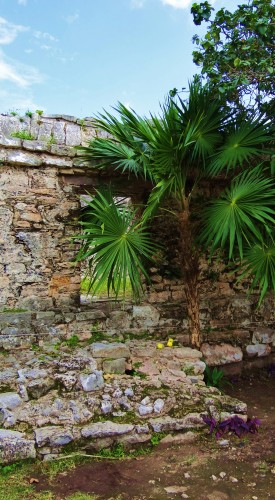 Foto: Zona Arqueológica de Tulum - Tulum (Quintana Roo), México