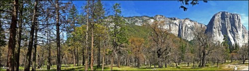 Foto: 160421-014 YOSEMITE - Yosemite (California), Estados Unidos