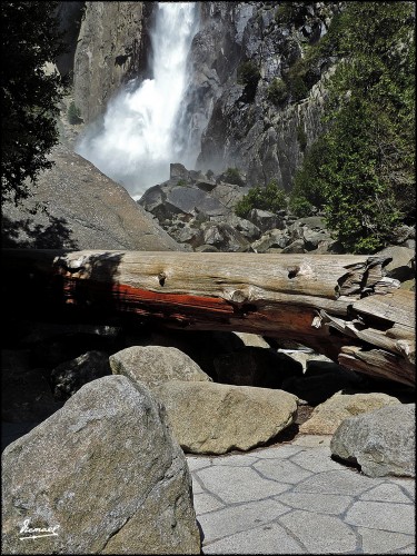 Foto: 160421-091 YOSEMITE - Yosemite (California), Estados Unidos