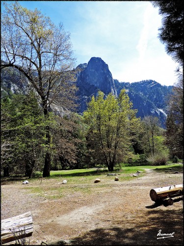 Foto: 160421-119 YOSEMITE - Yosemite (California), Estados Unidos