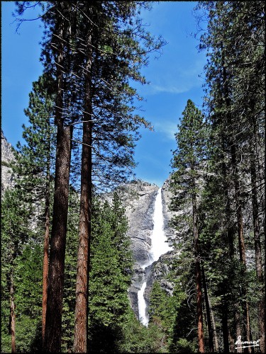 Foto: 160421-083 YOSEMITE - Yosemite (California), Estados Unidos