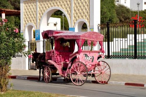 Foto: Tipico transporte - Larache (Tanger-Tétouan), Marruecos