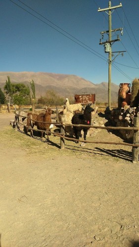 Foto: Viaje por el norte de Argentia - Humaguaca (Jujuy), Argentina