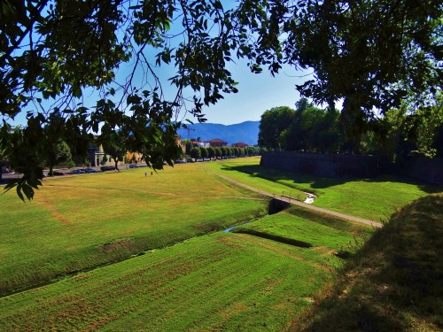Foto: Mura di Lucca - Lucca (Tuscany), Italia