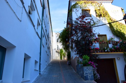 Foto: Calle Alta - Algatocín (Málaga), España