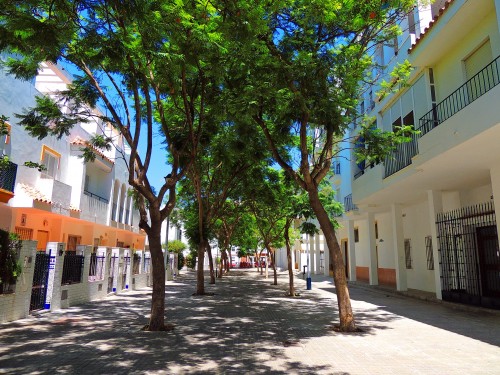 Foto: Calle de Gracia Montes - Chipiona (Cádiz), España