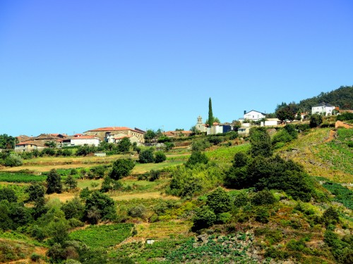 Foto de Rivera Sacra (Ourense), España