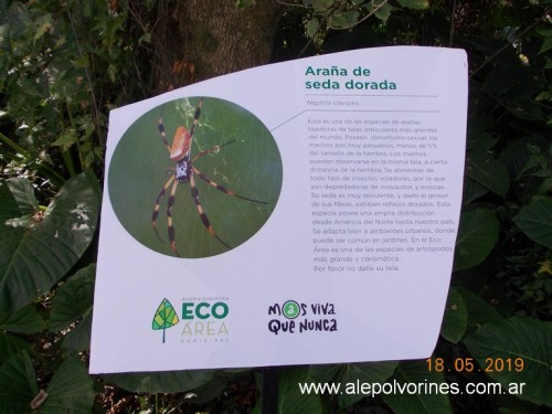 Foto: Reserva Ecologica de Avellaneda - Sarandi (Buenos Aires), Argentina