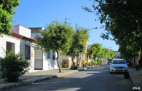 Foto: Calle Arboleda - Estella del Marqués (Cádiz), España