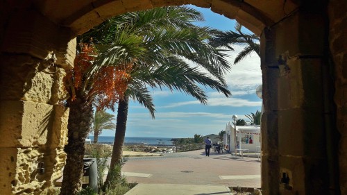 Foto: Vista de la Isla - Tabarca (Alicante), España