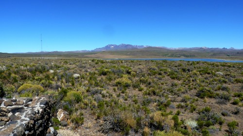 Foto: Parque Nacional Laguna Blanca - Laguna Blanca (Neuquén), Argentina