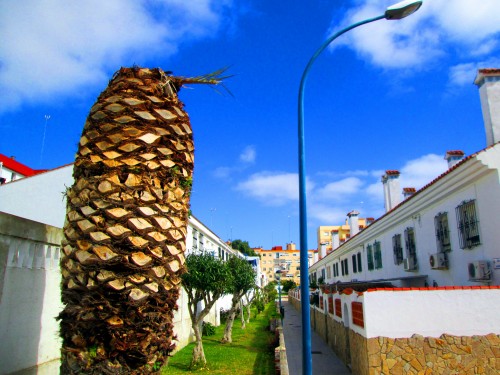 Foto: Calle Baraza - San Fernando (Cádiz), España