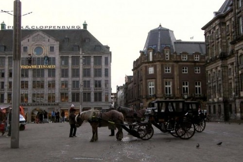 Foto: Carruajes tirados por caballos percherones para dar paseos - Amsterdam (North Holland), Países Bajos