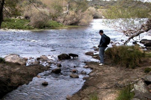Foto: El río Tormes a su paso por el municipio - El Barco (Ávila), España