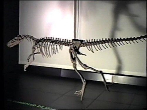 Foto: Esqueleto de dinosaurio en Dinopolis - Teruel (Aragón), España