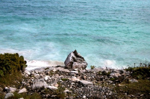 Foto: Iguana sobre una roca frente al mar Caribe - Tulum (Quintana Roo), México