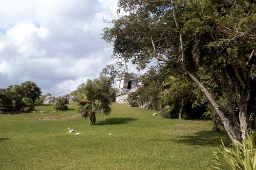 Foto: La frondosa vegetación de la zona - Tulum (Quintana Roo), México