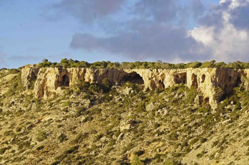 Foto: Cuevas den Sa Cala de Sart - Calvia , El Toro (Illes Balears), España