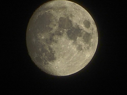 Foto: La Luna desde Valencia - Valencia (Comunidad Valenciana), España