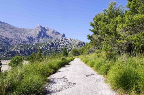 Foto: Camino del embalse  bajo el Puig Mayor - Escorca (Illes Balears), España