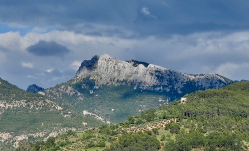 Foto: Pico padrón - Bienservida (Albacete), España