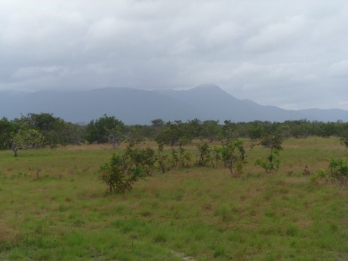 Foto: paisaje guyanés - Lethem, Guyana