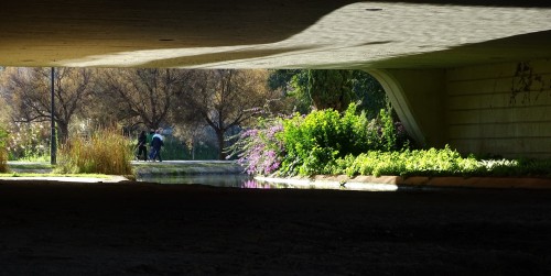 Foto: Jardin del Turia - Valencia (València), España
